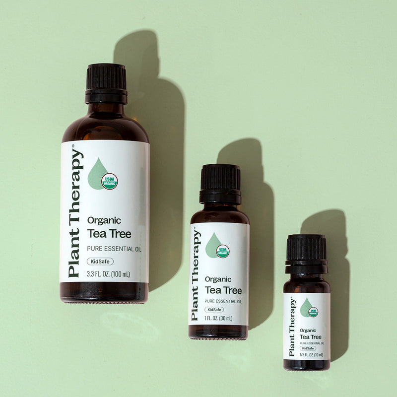 Plant Therapy Organic Tea Tree Essential Oil Essential Oil