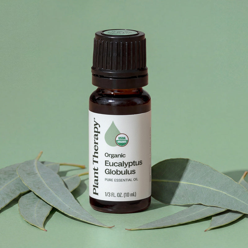 Plant Therapy Organic Eucalyptus Globulus Essential Oil Essential Oil