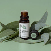 Plant Therapy Organic Eucalyptus Globulus Essential Oil Essential Oil