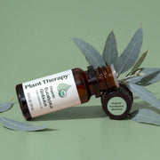 Plant Therapy Organic Eucalyptus Globulus Essential Oil Essential Oil