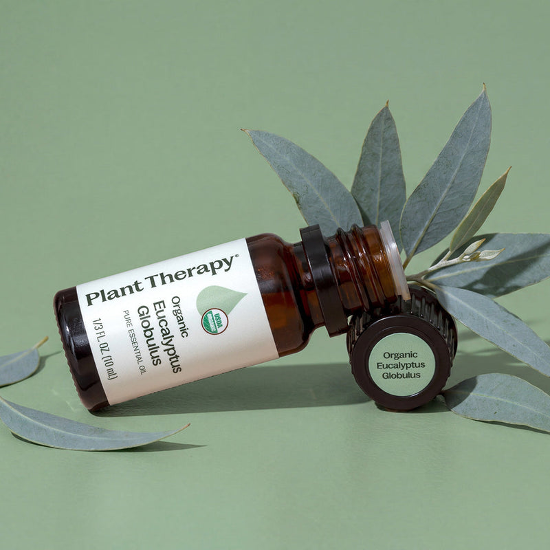 Plant Therapy Organic Eucalyptus Globulus Essential Oil Essential Oil