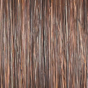 VIP Extensions Raquel Welch Untold Story Wig, RL2/4 Off Black - New With Tags Synthetic Wig Dim Gray RL2/4 Off Black,RL10/12 Sunlit Chestnut,RL11/25 Golden Walnut,RL119 Silver & Smoke,RL12/16 Honey Toast,RL13/88 Golden Pecan,RL14/22 Pale Gold Wheat,RL14/25 Honey Ginger,RL16/22 Iced Sweet Cream,RL16/88 Pale Golden Honey,RL19/23 Biscuit,RL29/25 Golden Russ