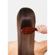 KOH-I-NOOR Beauty USA Janeke Tortoiseshell Oval Hair Brush – Gold Pin Detangling Brush Hair Brush Lavender