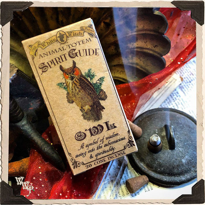 OWL CONE INCENSE. Animal Totem for Wisdom, Spiritual Sight,  Spirituality.