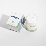 Shore Soap Co. Pacific Candle Tumbler Candles