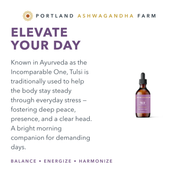 Portland Ashwagandha Farm Tulsi - Spagyric Tincture Tincture White Smoke 2oz