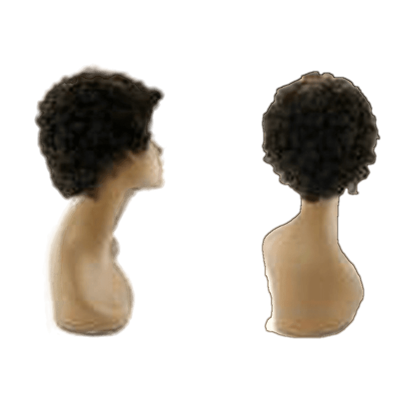 VIP Extensions Pallet #135 - Lot of Wigs - 100% Human Hair - Variety of Styles Wig Black