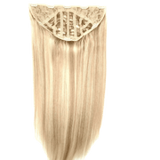 VIP Extensions Pallet #80 - Lot of Clip-In Extension - Assorted Colors Hair Extension Wheat