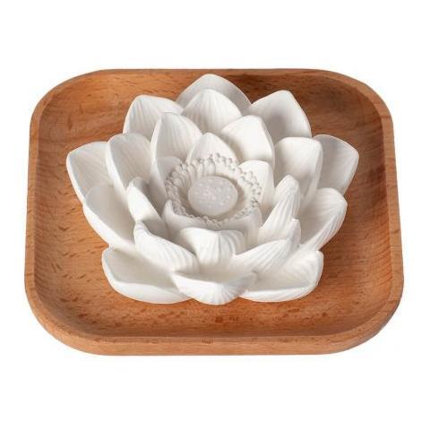 Plant Therapy Passive Lotus Diffuser Diffuser