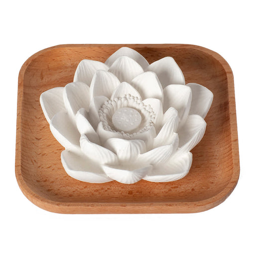 Plant Therapy Passive Lotus Diffuser Diffuser