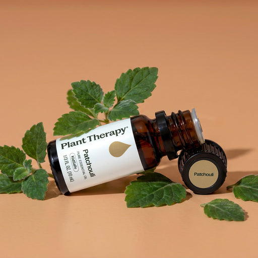 Plant Therapy Patchouli Essential Oil Essential Oil