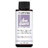 VIP Extensions Paul Mitchell Demi-permanent Hair Color 10PA (10/81) Hair Care