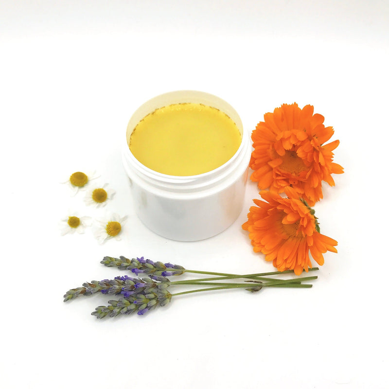 Rooted Earth Farm + Apothecary Paw Protector Balm Pet Care