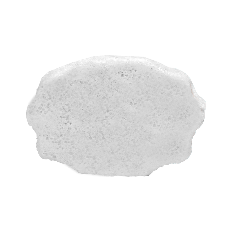 Spongellé Coconut Verbena | Pedi Buffer Pedi Buffer