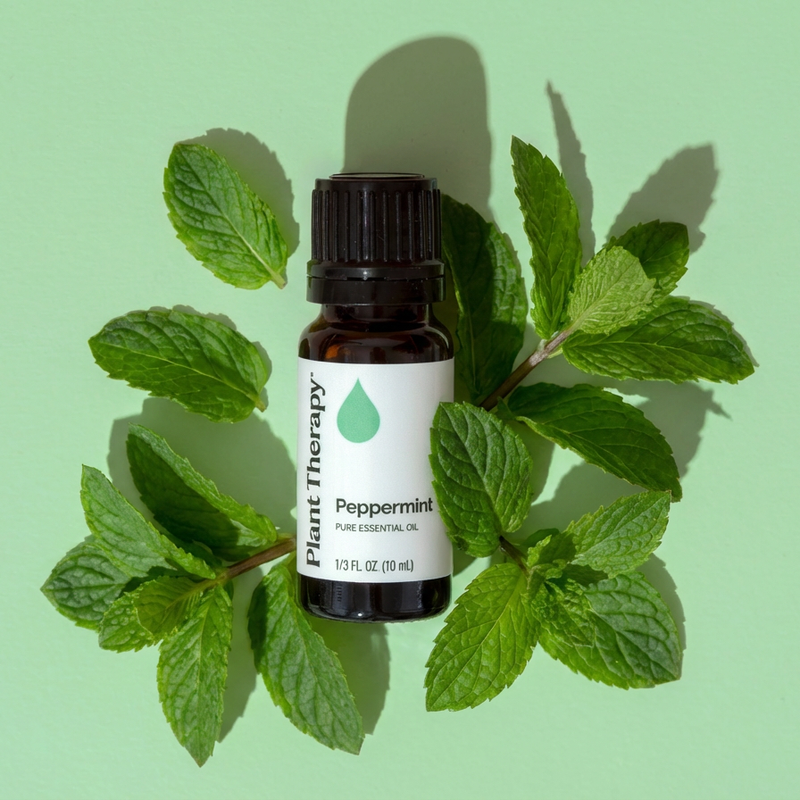 Plant Therapy Peppermint Essential Oil Essential Oil