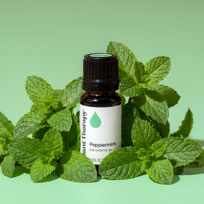 Plant Therapy Peppermint Essential Oil Essential Oil