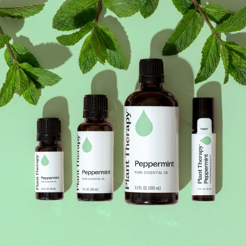 Plant Therapy Peppermint Essential Oil Essential Oil