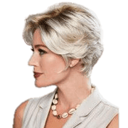 VIP Extensions Perfection by Gabor Gabor Wigs