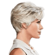 VIP Extensions Perfection by Gabor Gabor Wigs