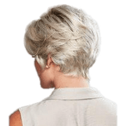 VIP Extensions Perfection by Gabor Gabor Wigs