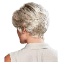 VIP Extensions Perfection by Gabor Gabor Wigs