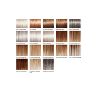 VIP Extensions Perfection by Gabor Gabor Wigs