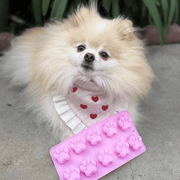 Farm To Pet Pet Treat Molds Mold