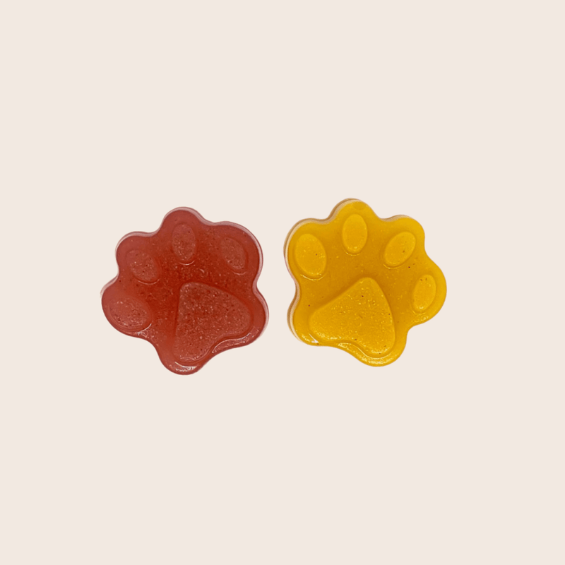Farm To Pet Pet Treat Molds Mold
