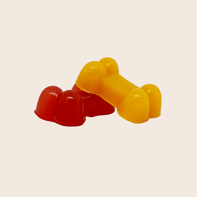 Farm To Pet Pet Treat Molds Mold