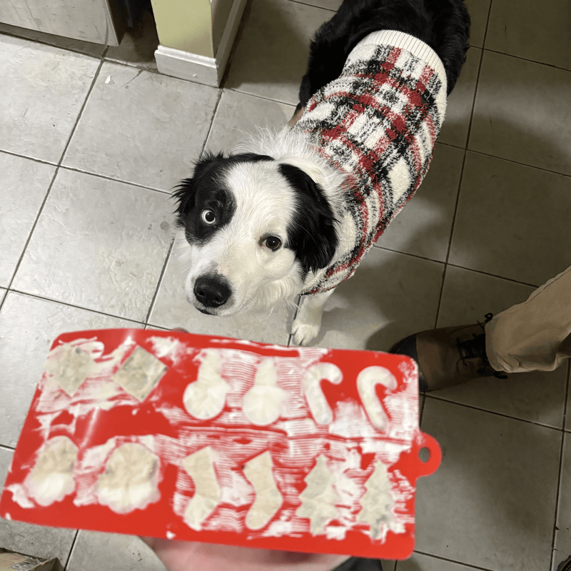Farm To Pet Pet Treat Molds Mold