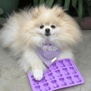 Farm To Pet Pet Treat Molds Mold