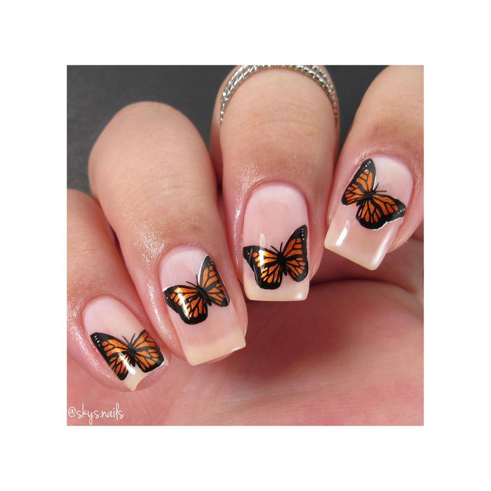 Uberchic Beauty Butterflies