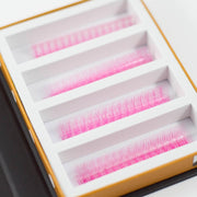 Mega Lash Academy Pink 5D Rapid Promade Fans - 600 Fans Promade Fans