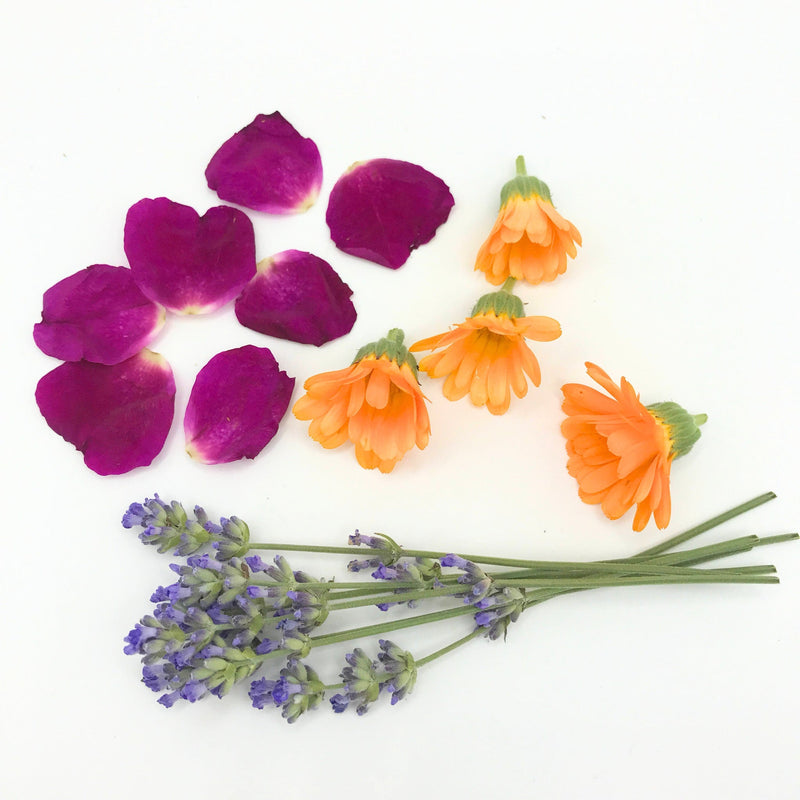 Rooted Earth Farm + Apothecary Skin Serum Skin + Face Serums