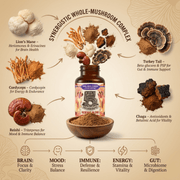 Hippie Farms Premium Immunity, Gut Health, and Brain Cognition Formula - 5 Mushrooms Reserve Blend Vitamins & Supplements