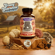 Hippie Farms Premium Immunity, Gut Health, and Brain Cognition Formula - 5 Mushrooms Reserve Blend Vitamins & Supplements