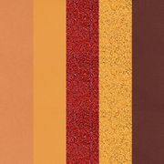 Profusion Cosmetics Blooming Hues 5 shade palette Eye