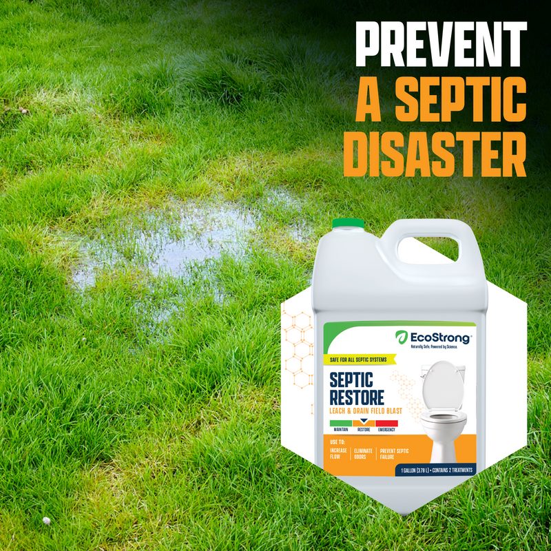 EcoStrong Leach and Drain Field Blast Drain & Septic > Septic System Problems