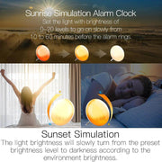 SmartPursue™ Wake Up Sunrise Simulation Alarm Clock Alarm Clocks
