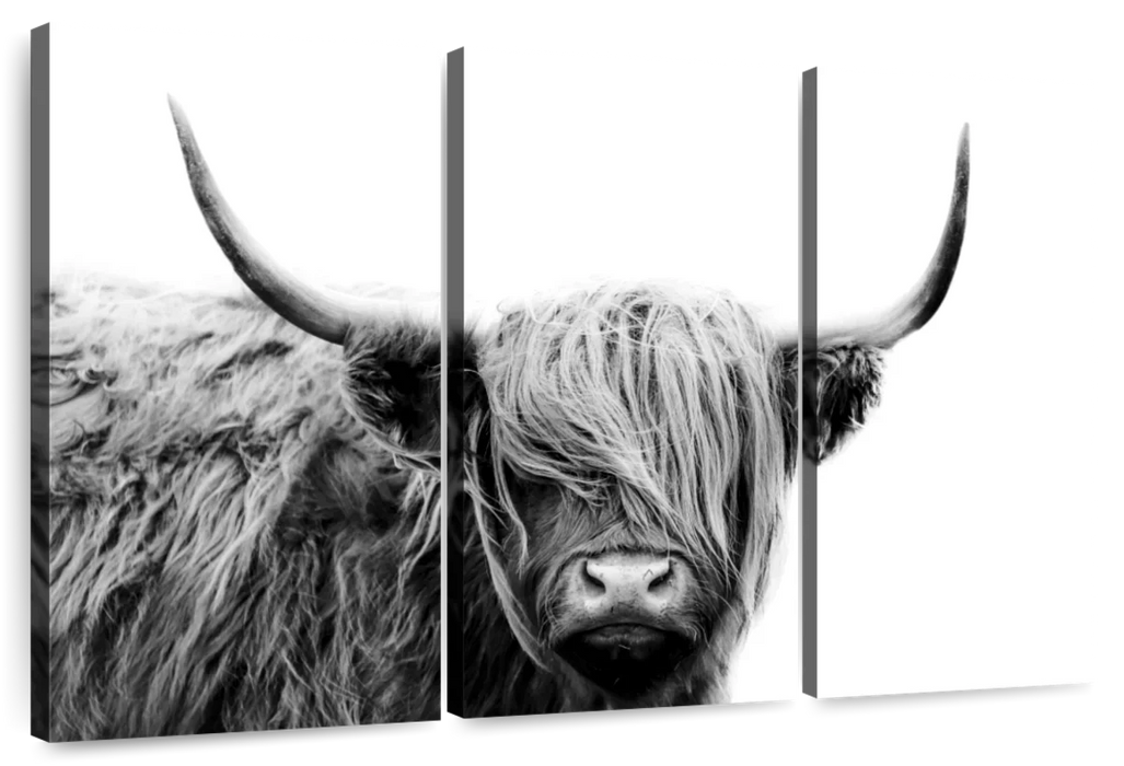 BW Highland Cow Wall Art