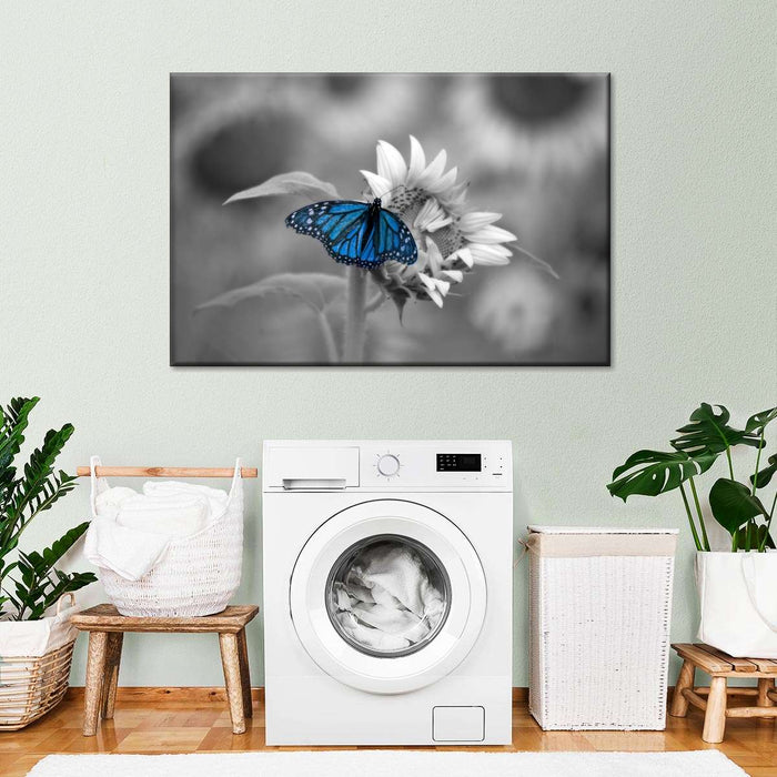 Butterfly Pop Wall Art