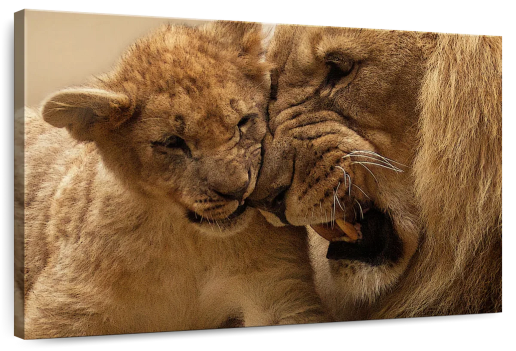 Bonding Lions Wall Art