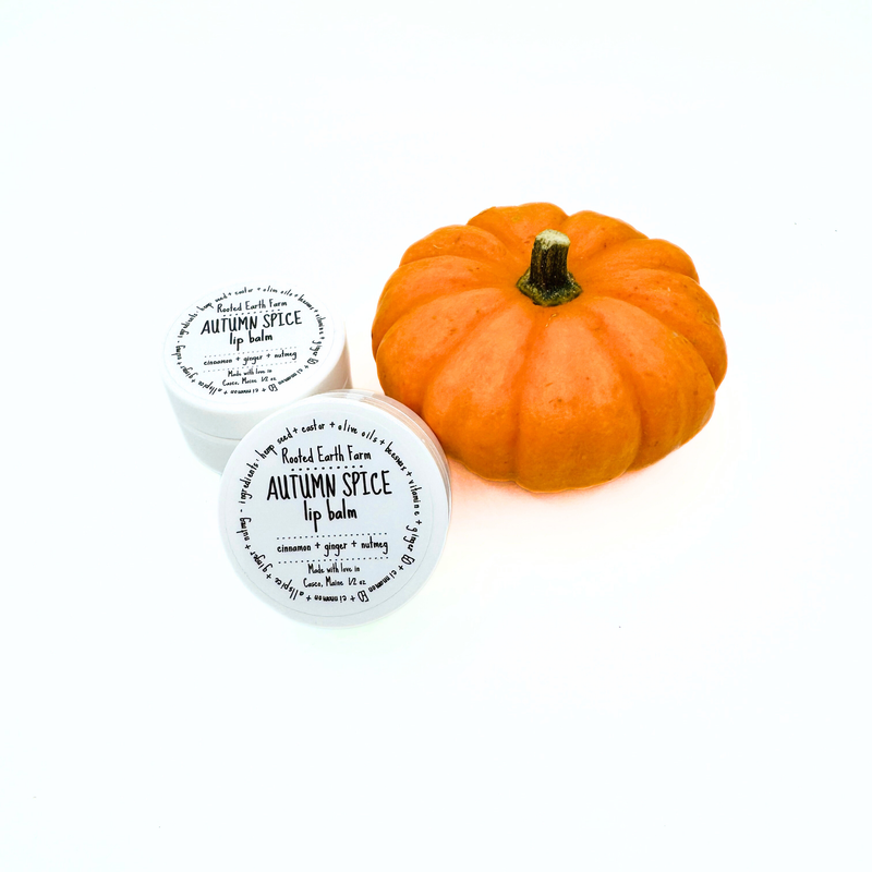 Rooted Earth Farm + Apothecary Autumn Spice Lip Balm Lip Balms + Tints