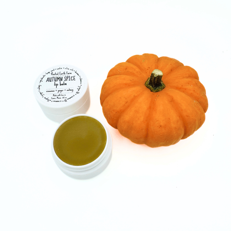 Rooted Earth Farm + Apothecary Autumn Spice Lip Balm Lip Balms + Tints