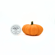 Rooted Earth Farm + Apothecary Autumn Spice Lip Balm Lip Balms + Tints