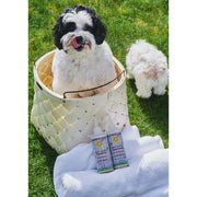 California Baby (No Fragrance) Super Sensitive™ Puppy + Dog + Kitty Wash Fur Baby