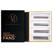 Mega Lash Academy Purple Ombré 6D Rapid Promade Fans - 600 Fans Promade Fans