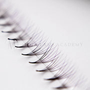 Mega Lash Academy Purple Ombré 6D Rapid Promade Fans - 600 Fans Promade Fans