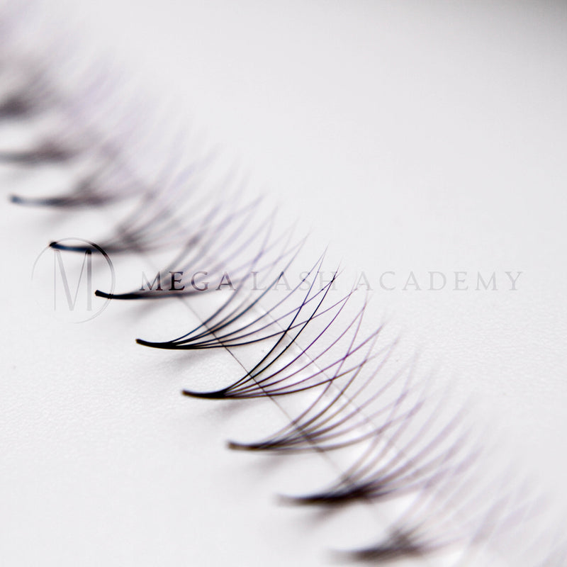 Mega Lash Academy Purple Ombré 6D Rapid Promade Fans - 600 Fans Promade Fans
