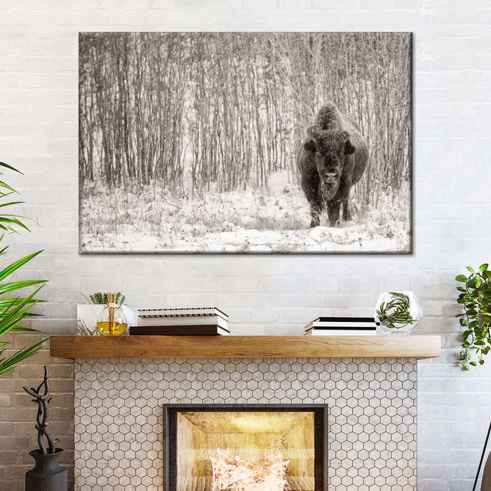 Bison In Winter Forest Wall Art